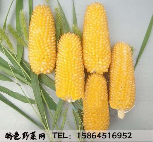866159131858543287.jpg