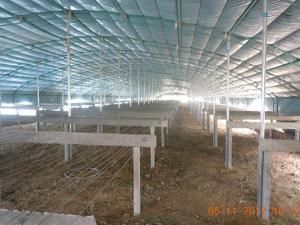 食用菌大棚施工-河南蔬菜大棚出厂价格-安阳市欣禾温室