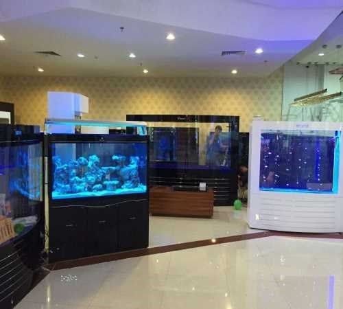 珠海水族鱼缸供应商/可丽爱鱼缸供应商/珠海市香洲龙鱼