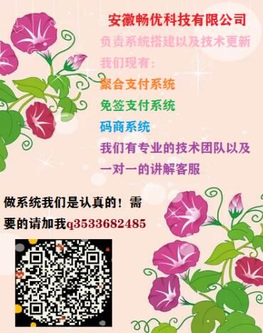 聚合支付系统搭建的关键技术要点 (聚合支付系统怎么做)-初仟社区