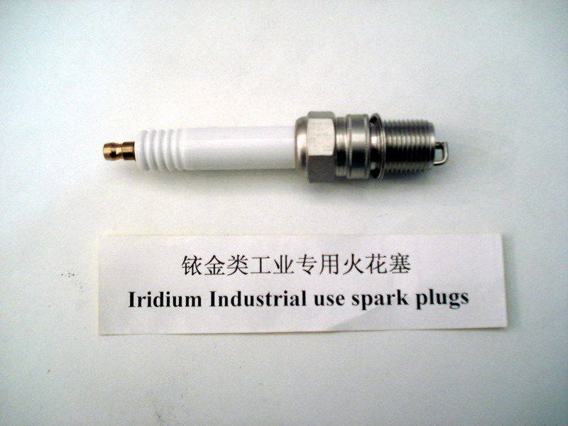 Gas engine spark plug LB1302