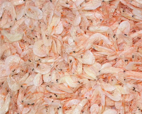 dried small shrimp (dried baby shrimp)