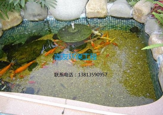 ԺӼͥչʾ