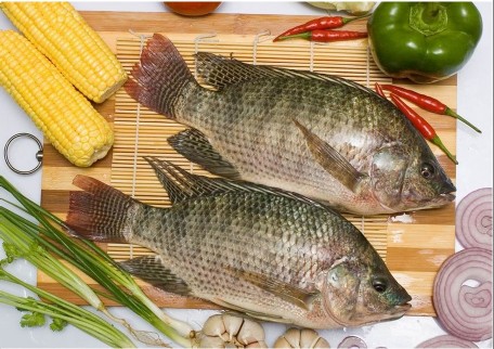 ҪӹڵˮƷ,޷,޷Ƭ,Ϻ,ѻhaccp