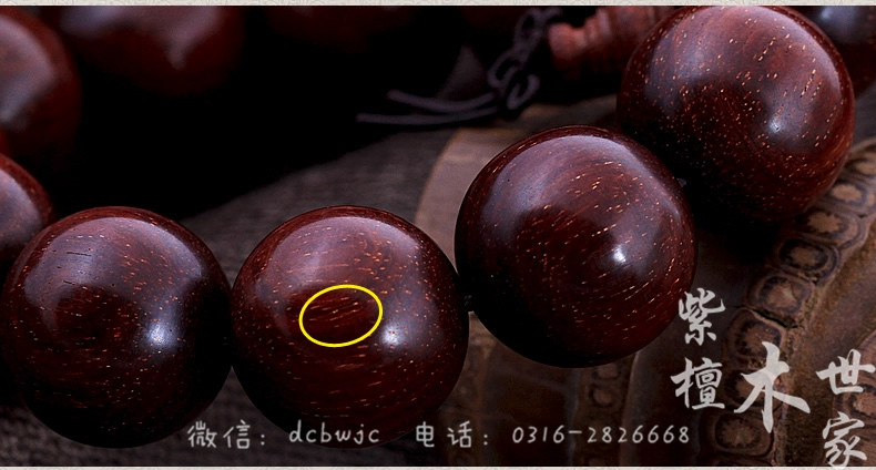 河北大城印度小叶紫檀金星图片